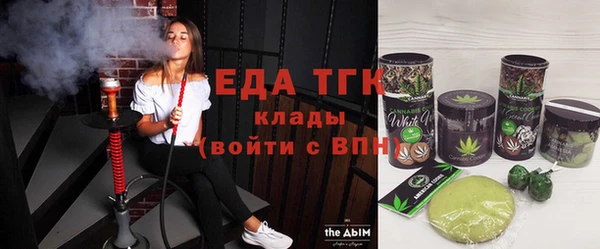 спиды Ельня