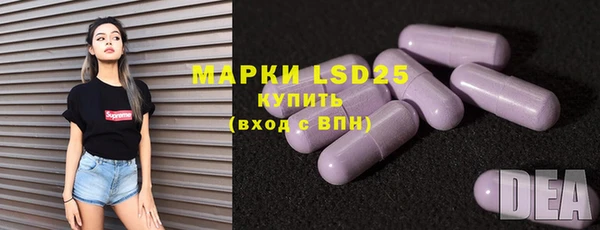 спиды Ельня