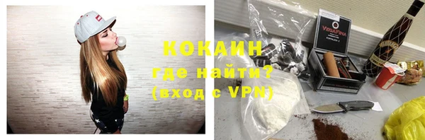спиды Ельня
