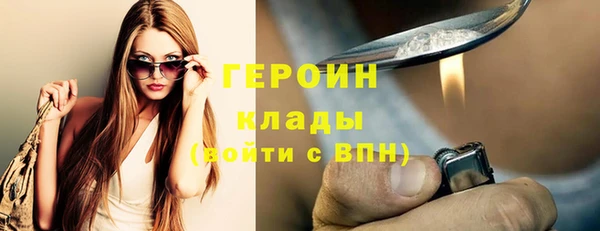 спиды Ельня
