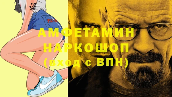 спиды Ельня