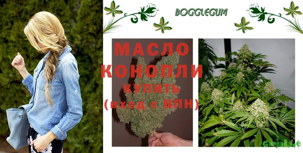 спиды Ельня