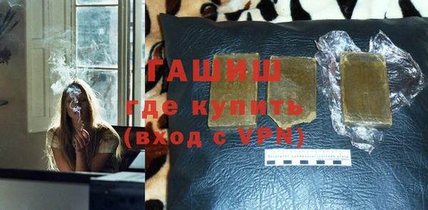спиды Ельня