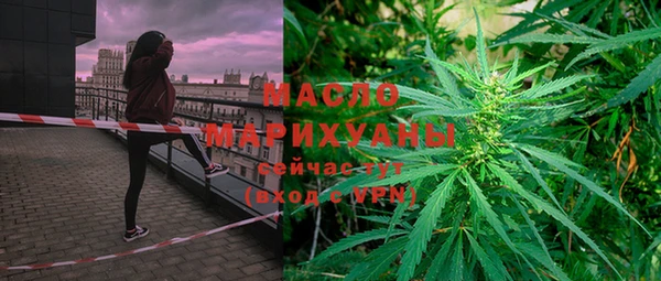 спиды Ельня
