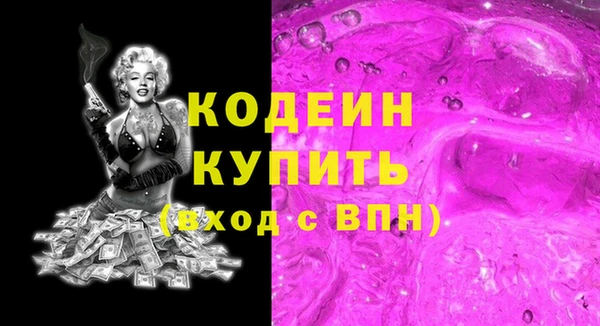 спиды Ельня