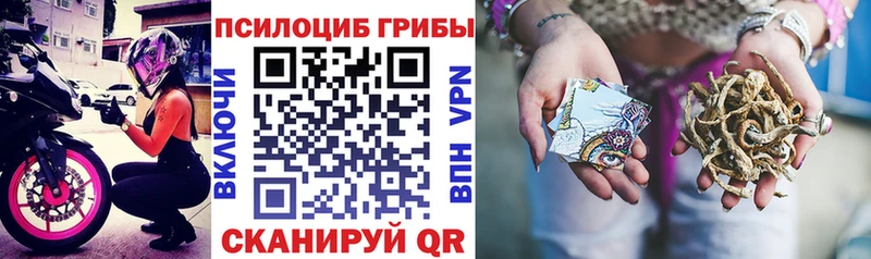 Купить  Видное  Галлюциногенные грибы мухоморы 